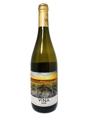 Столове вино біле сухе Vina Lastra Sauvignon Blanc 11.5% 0.75л, Іспанія id_8817 фото