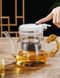 Чайник-заварник для чаю Тіпод Квітучий камінь із жаростійкого скла 650мл, Китай id_8954 фото 2