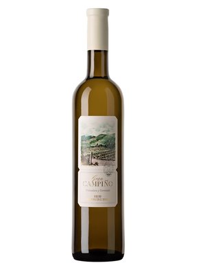 Столове вино біле сухе Gran Campiño Ribeiro DDO 12.5% 0,75л, Іспанія id_9432 фото