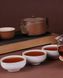 Чорний міцний чай Шу Пуер стиглий з клейким рисом міні точа 5шт по 5г, Китай id_8793 фото 2