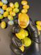 Великодні шоколадні яєчка Laica Ovetti з фундуковим кремом та кріпсами 1кг, Італія id_3279 фото 1